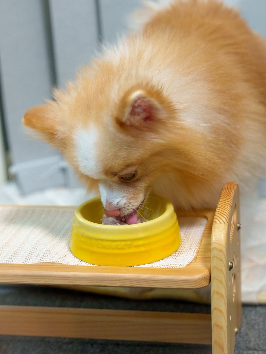 生ふりかけをかけた食事