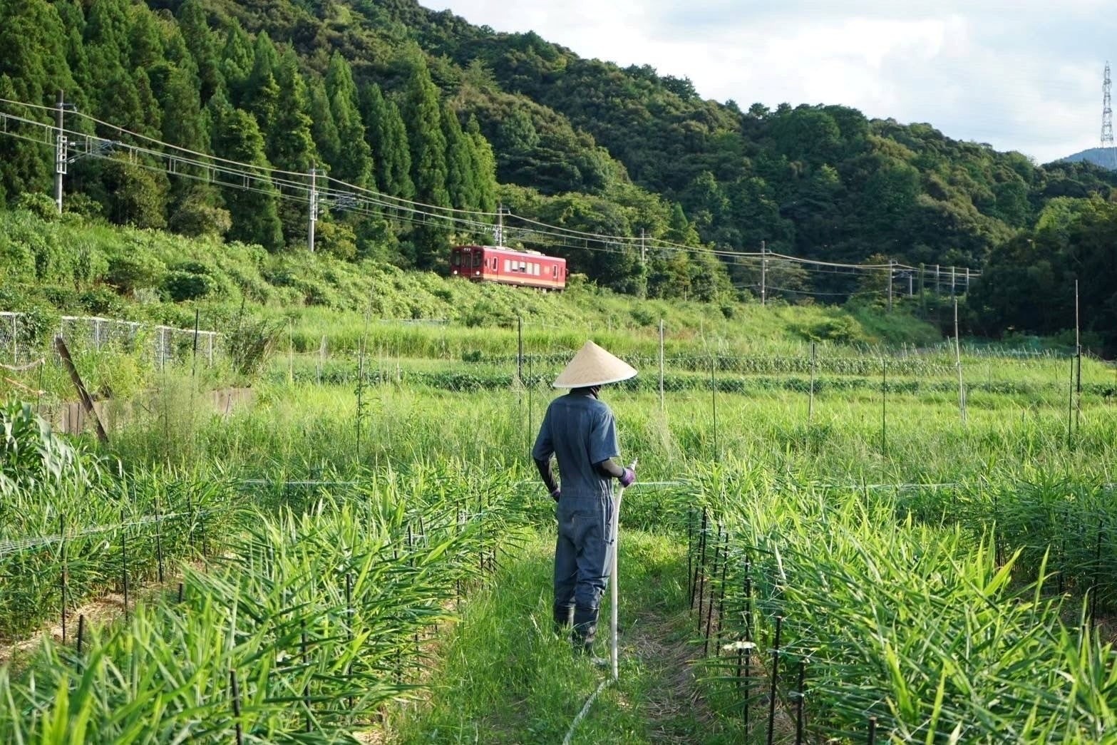 おのののうえん