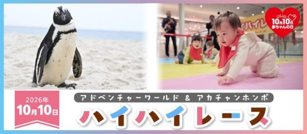 アドベンチャーワールド＆アカチャンホンポ ハイハイレース