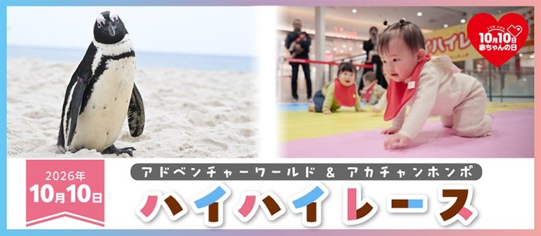 アドベンチャーワールド＆アカチャンホンポ ハイハイレース