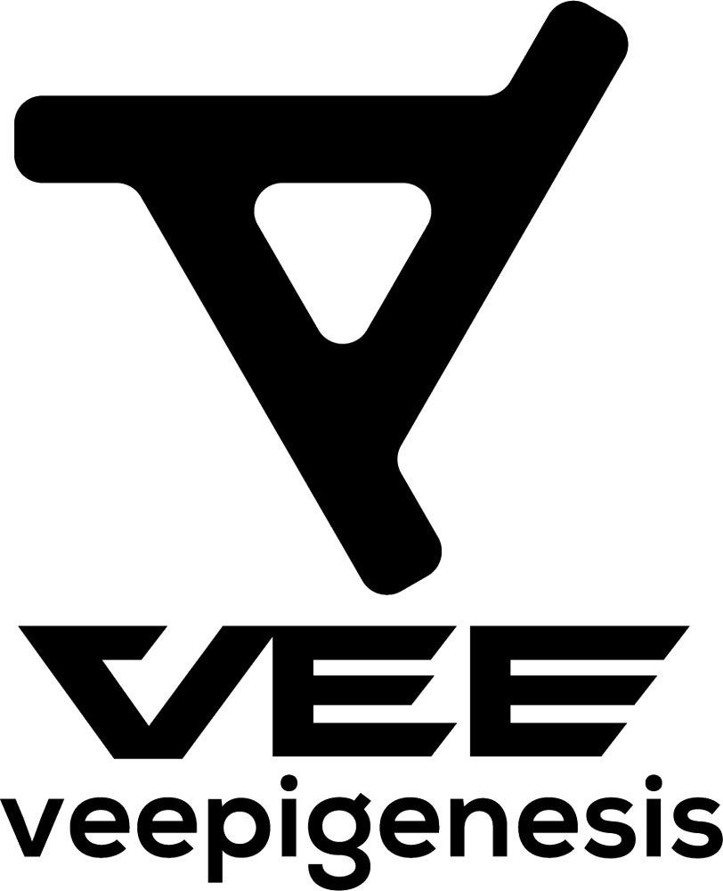 「VEE」プロジェクト