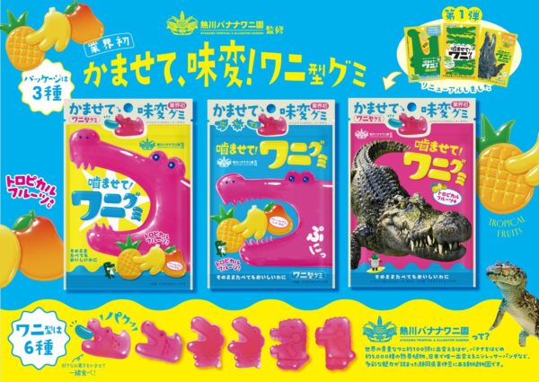 噛ませて!ワニグミ トロピカルフルーツあじ(1)