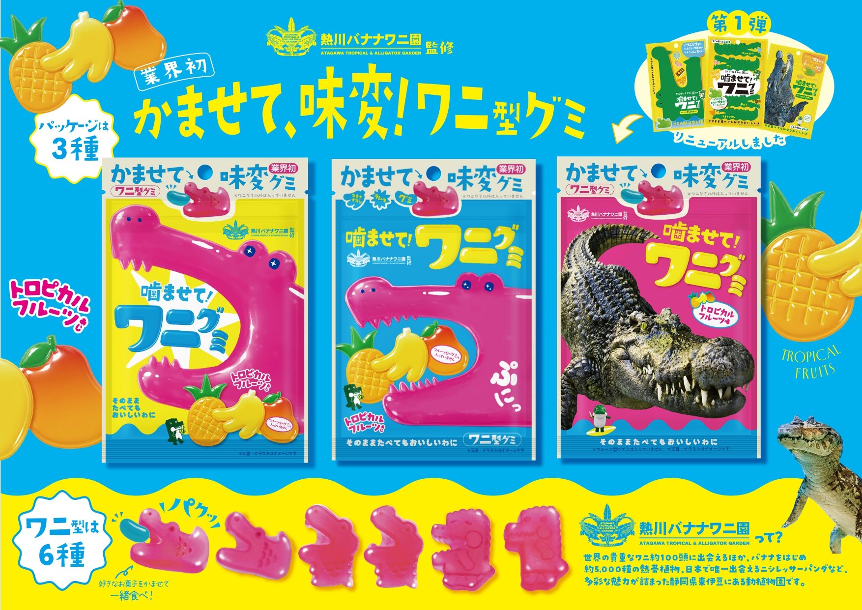 噛ませて！ワニグミ トロピカルフルーツあじ(1)