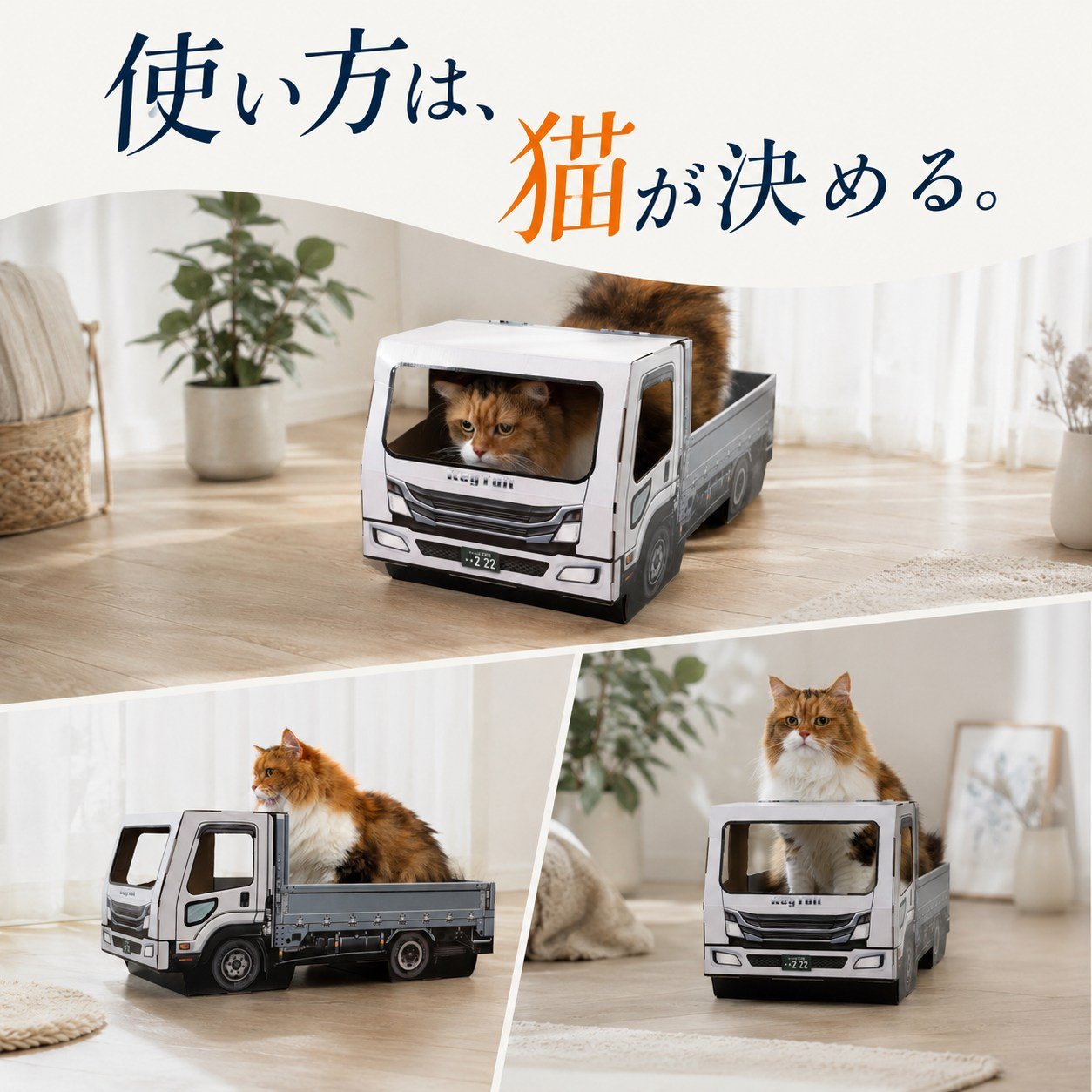 運転席に入る、荷台でくつろぐ、屋根に乗る。猫それぞれの使い方が生まれます