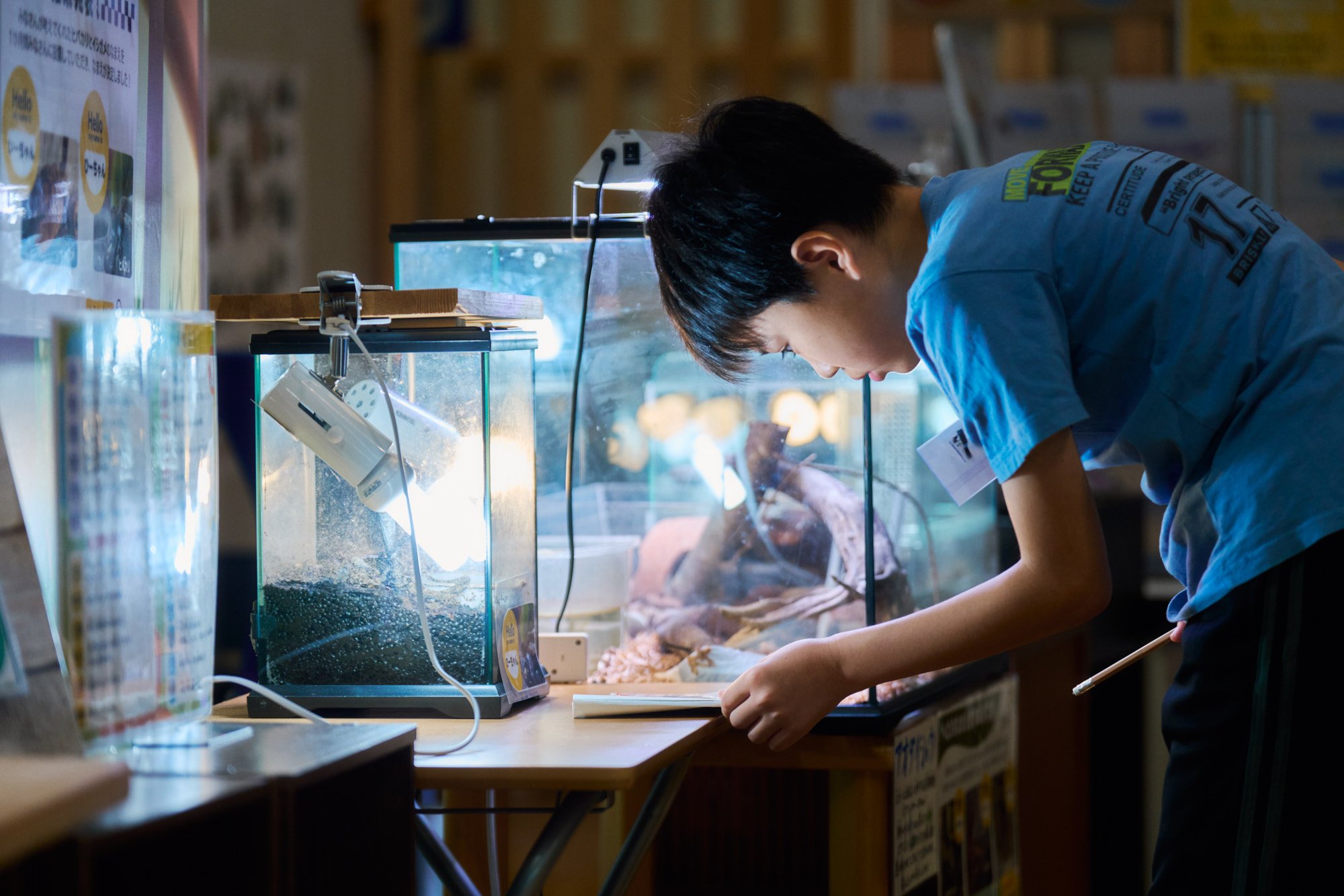 展示された生きものを真剣に観察する参加者