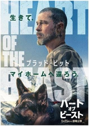 映画メインビジュアル