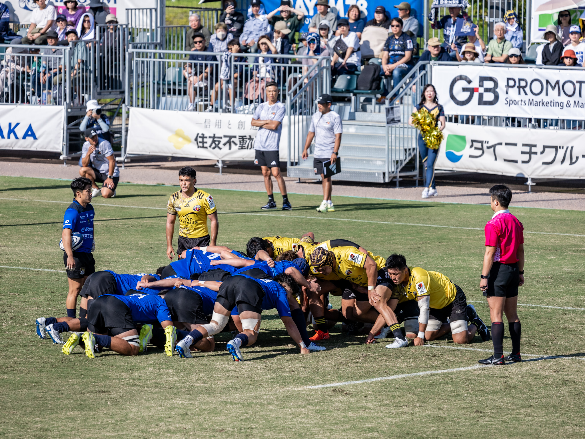 浦安D-Rocks 2026年10月10日「2026-27 プレシーズンマッチ vs 東京サントリーサンゴリアス」2