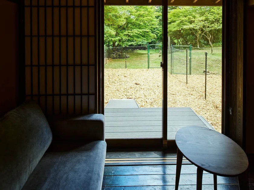 客室からドッグランを見た様子