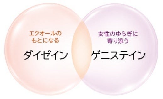 ダイゼインとゲニステインの図