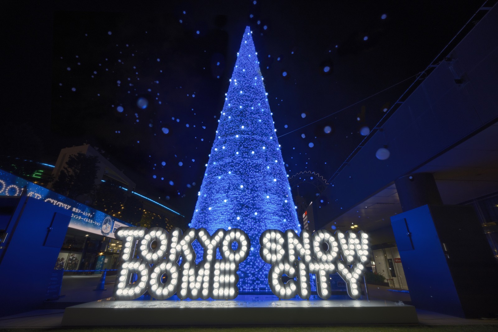 WONDER SNOW TREEのイメージ