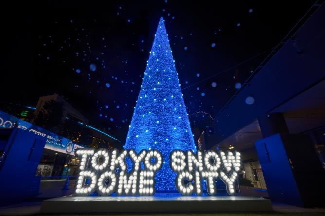 WONDER SNOW TREE
