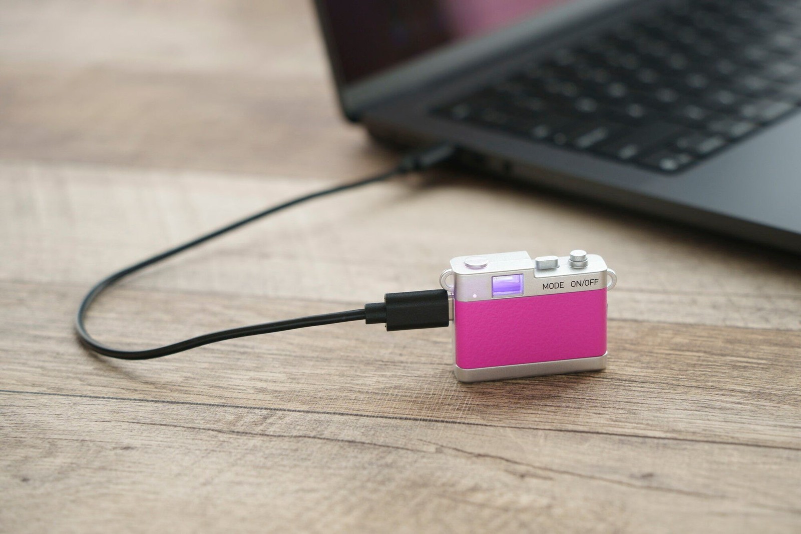 USBケーブルでパソコンと接続したカメラ