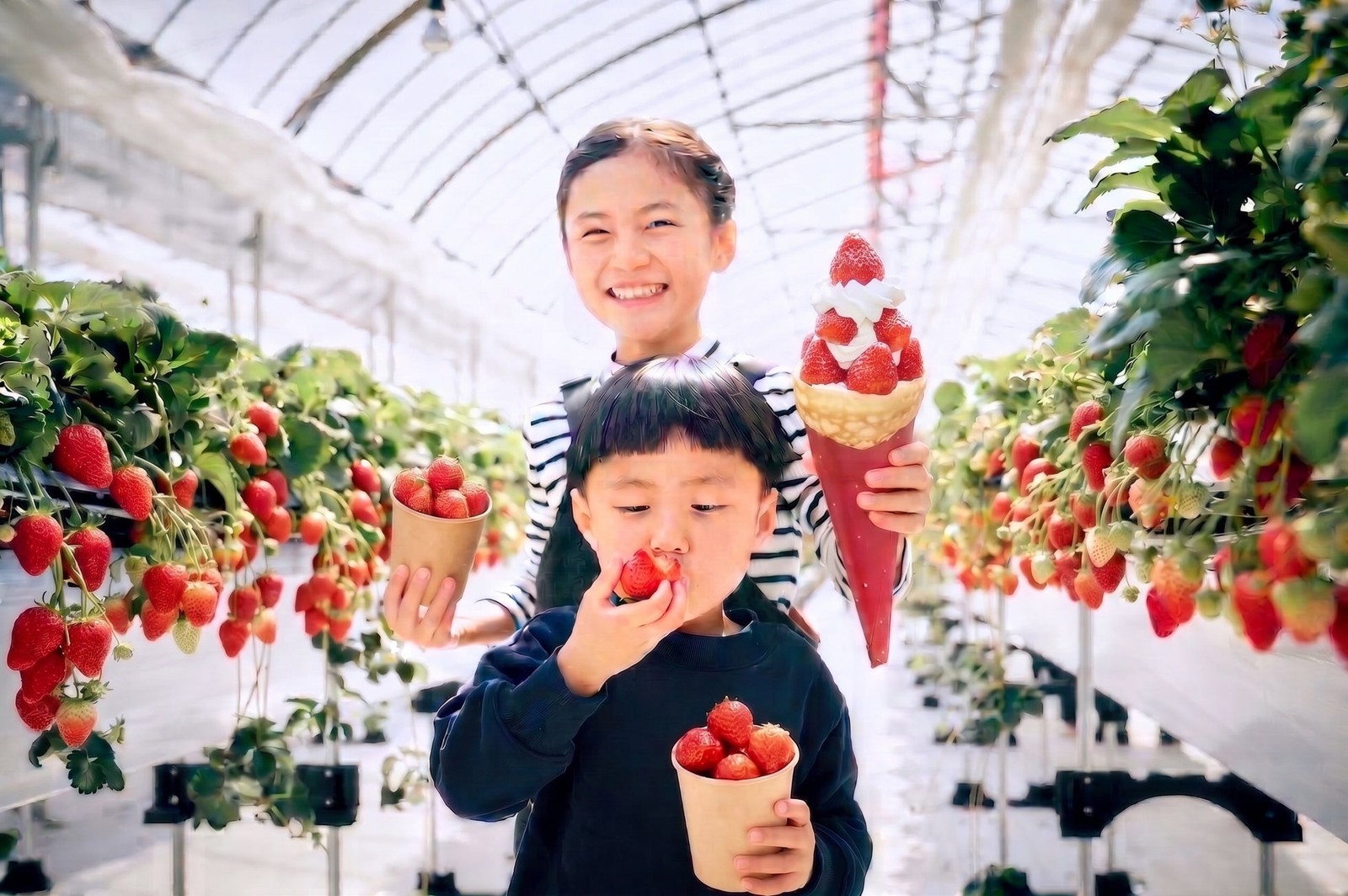 ハウス内でいちごとクレープを持つ子ども