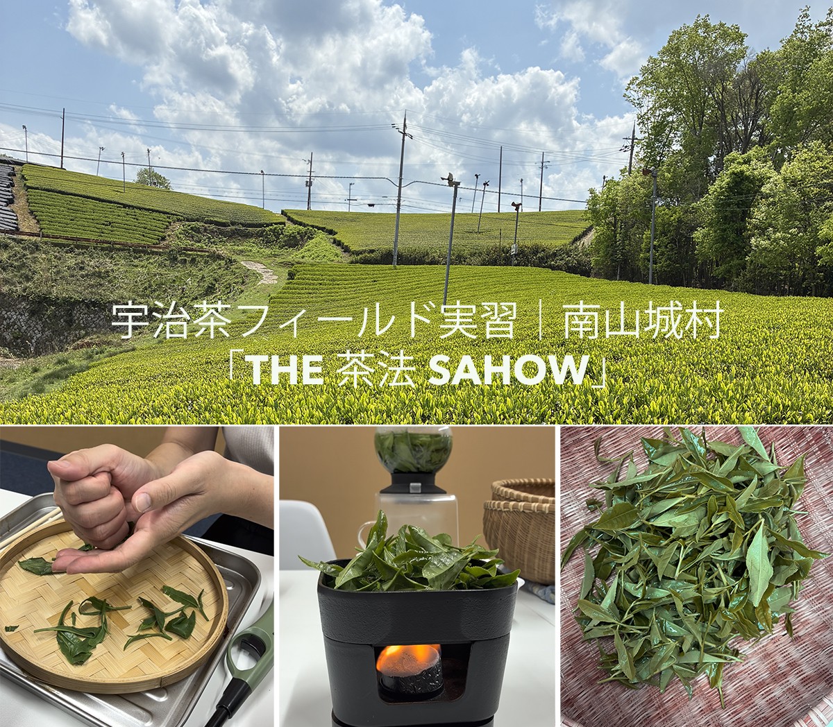 宇治茶フィールド実習|南山城村「THE 茶法 SAHOW」
