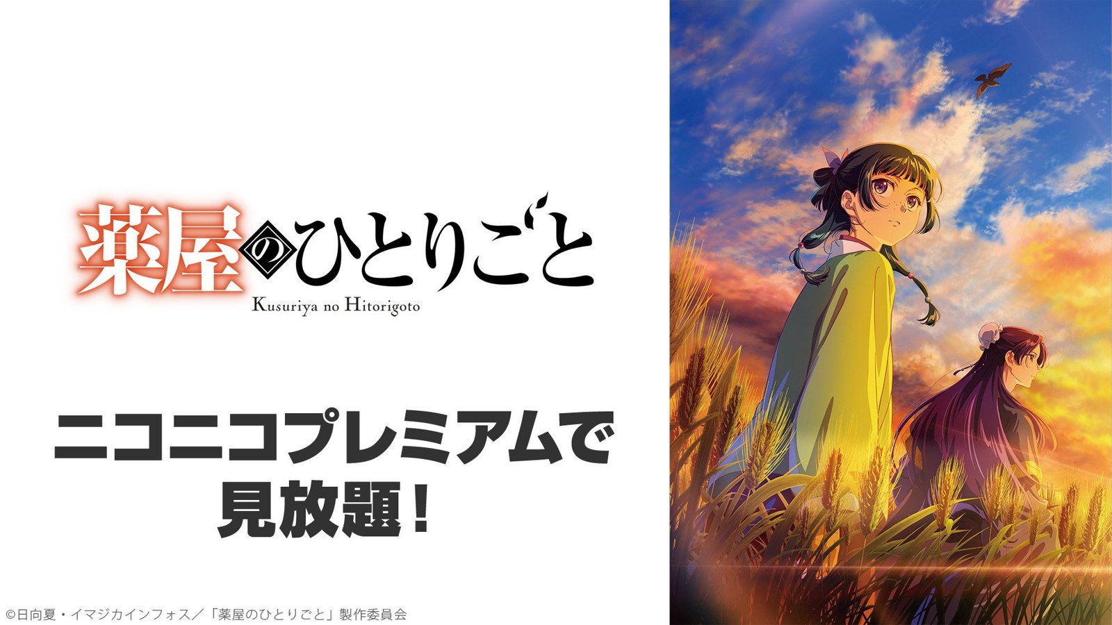 TVアニメ『薬屋のひとりごと』第3期