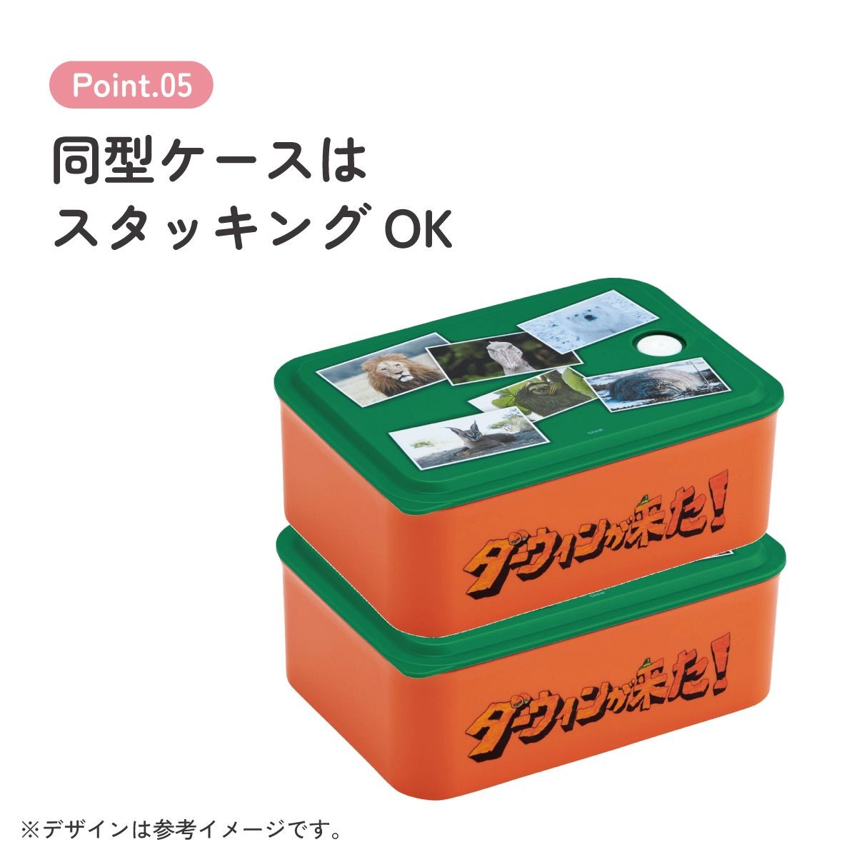 スケーター ダーウィンが来た! お弁当箱 スタッキング