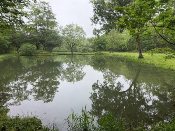秋保フィッシングエリアの池の全景