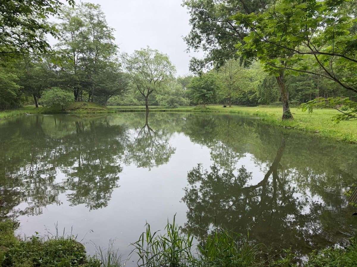 秋保フィッシングエリアの池の全景