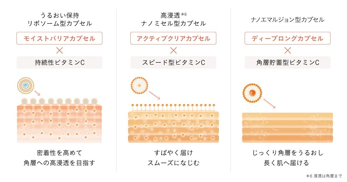 3つのカプセルと角層の模式図