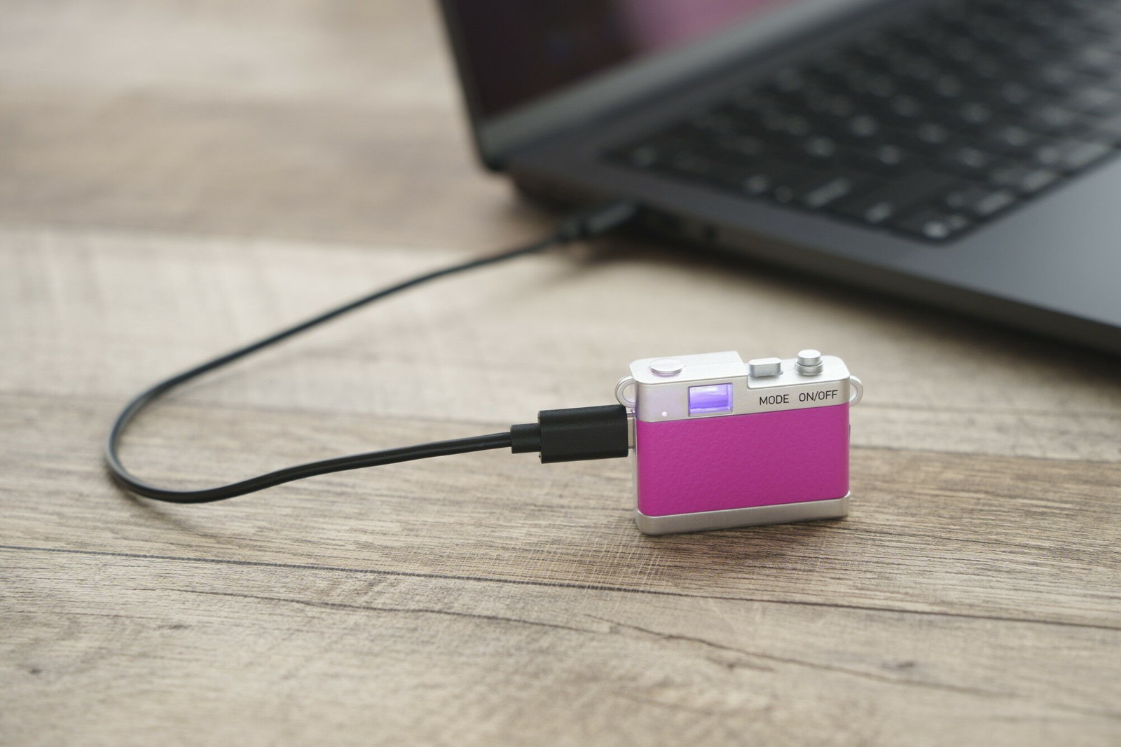 USBケーブルでパソコンと接続したカメラ