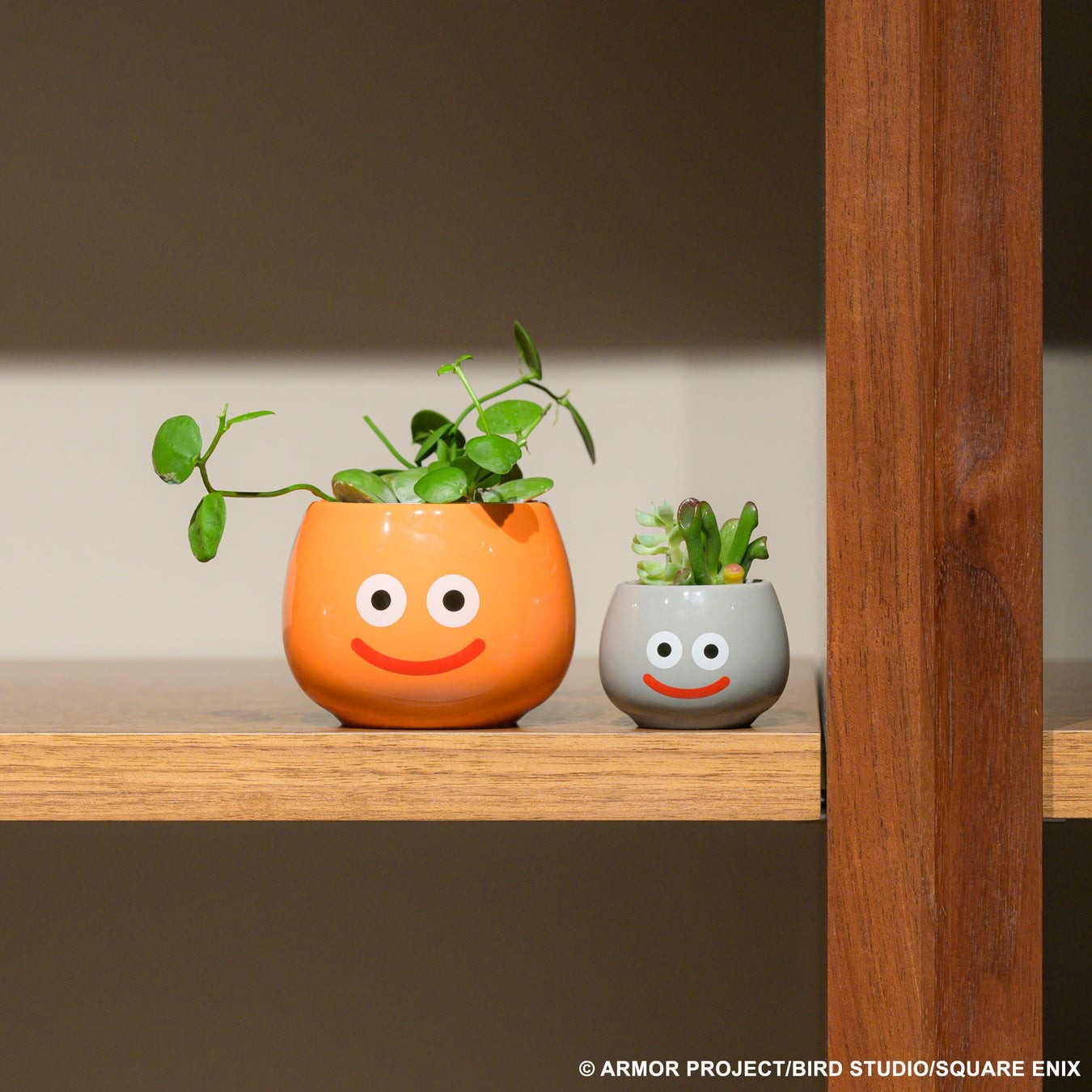 マルチポットで育てる植物の使用例