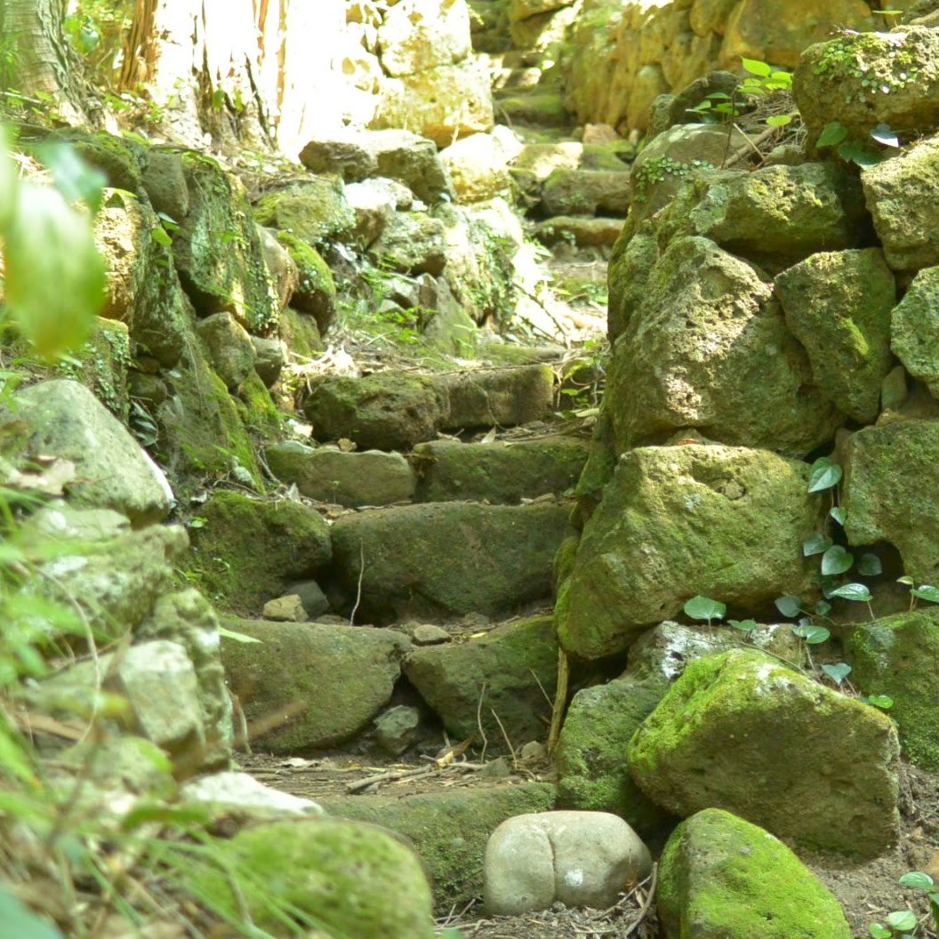 岩地コースの石畳
