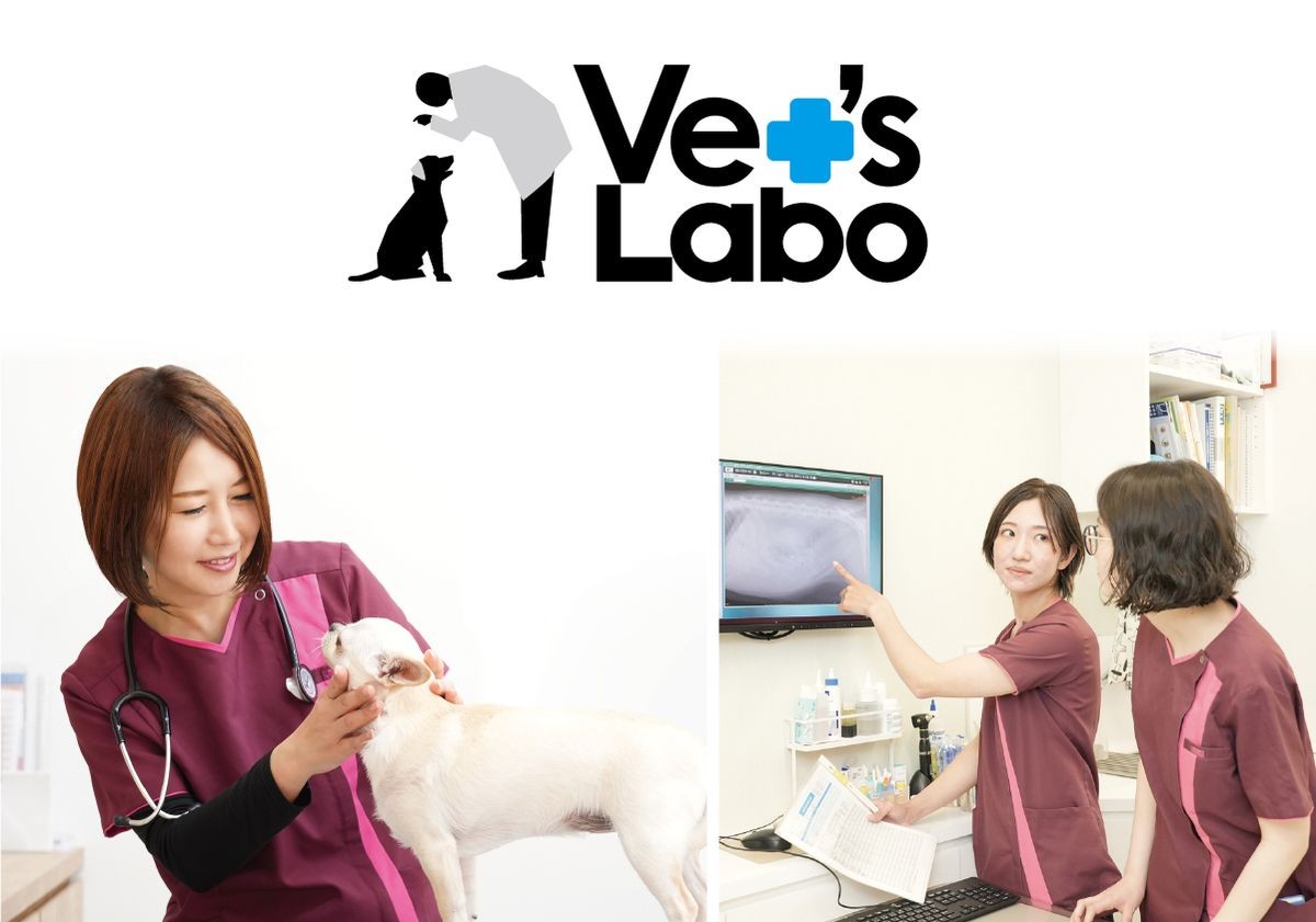 Vet's Laboのロゴと診察の様子