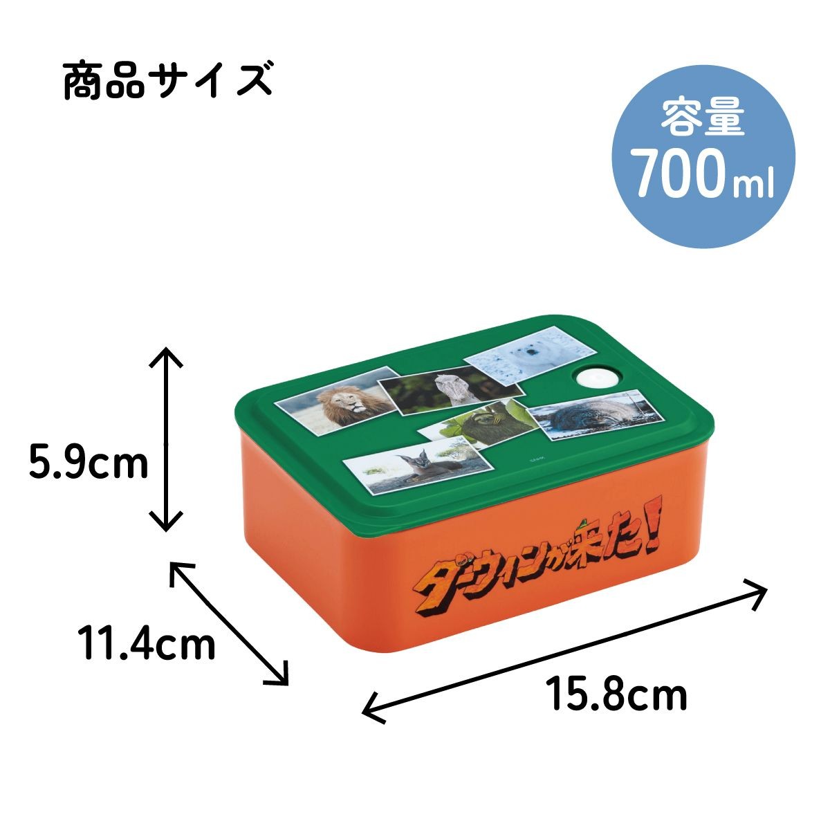 スケーター ダーウィンが来た! お弁当箱 サイズ