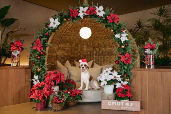 OMO7横浜ドッグラウンジのクリスマスフォトスポット