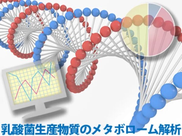 乳酸菌生産物質のメタボローム解析のイラスト