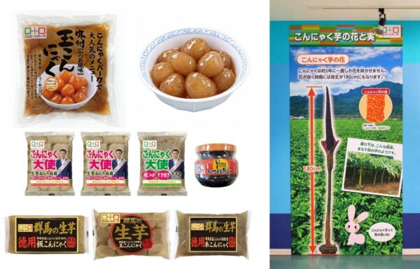 鰹だし味付け生芋玉こんにゃく、生芋玉こんにゃくの煮物、2026新芋祭り限定セット、コンニャクイモパネル
