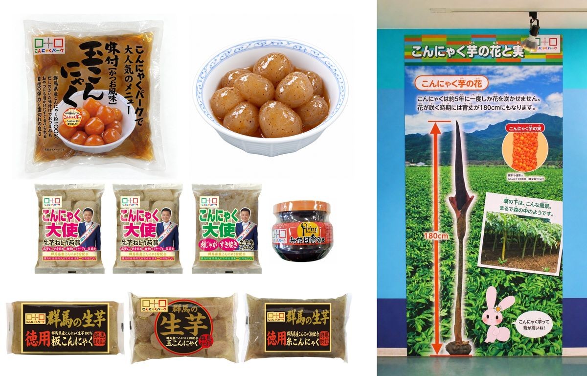 鰹だし味付け生芋玉こんにゃく、生芋玉こんにゃくの煮物、2026新芋祭り限定セット、コンニャクイモパネル