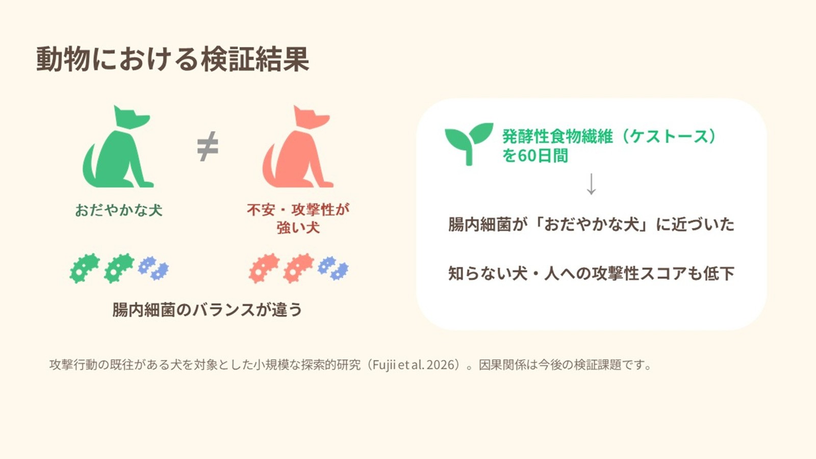 動物における検証結果のスライド