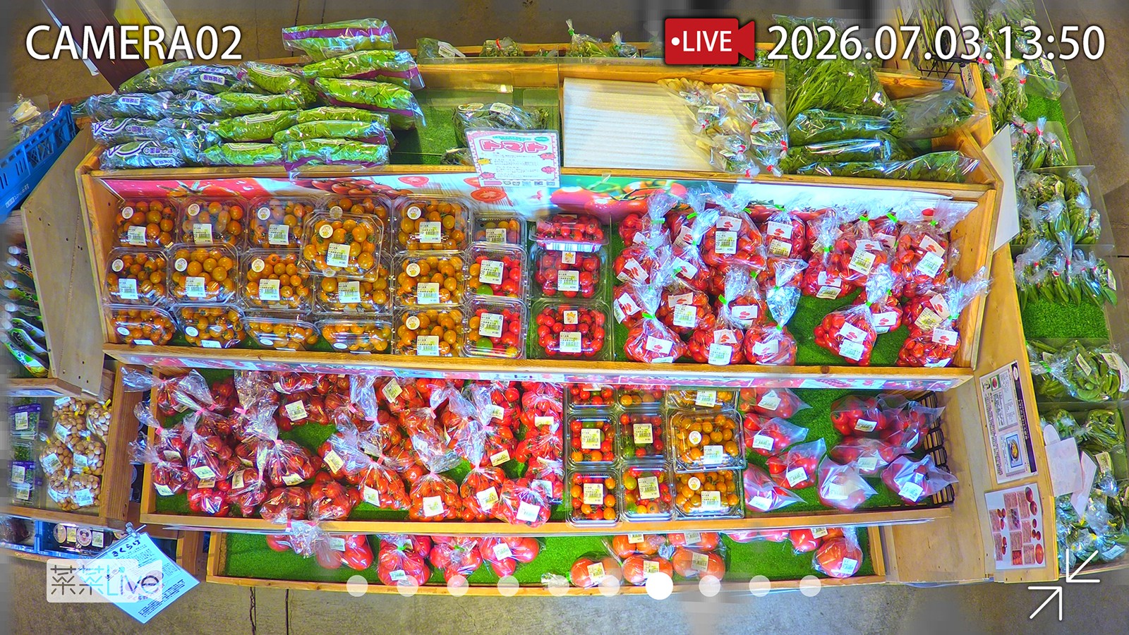 菜菜Liveの実際の配信画面