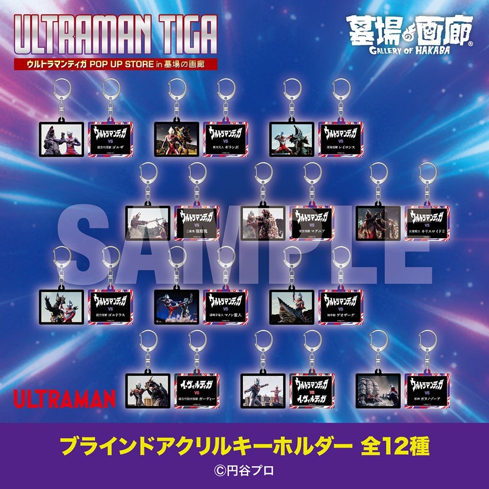 ブラインドアクリルキーホルダー 全12種