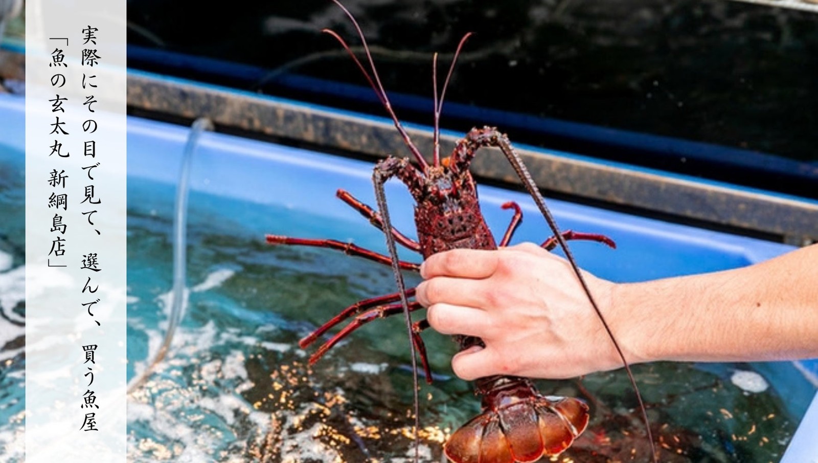 魚の玄太丸 新綱島店の海老