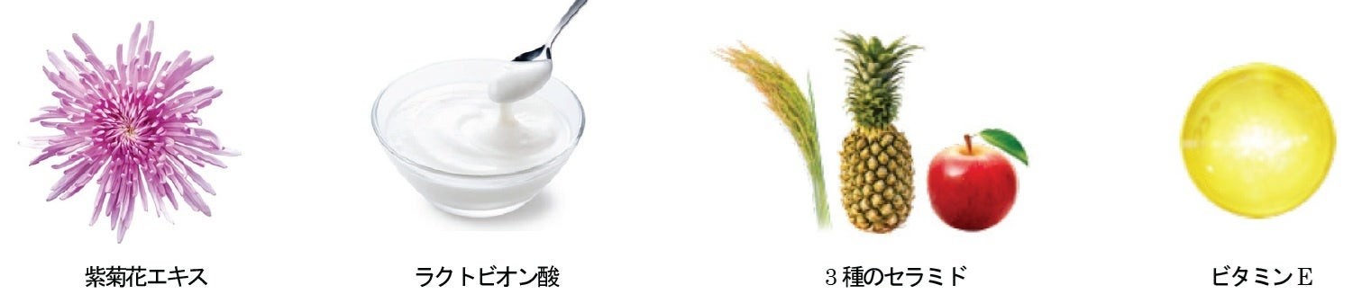 紫菊花エキス、ラクトビオン酸、3種のセラミド、ビタミンEの成分紹介