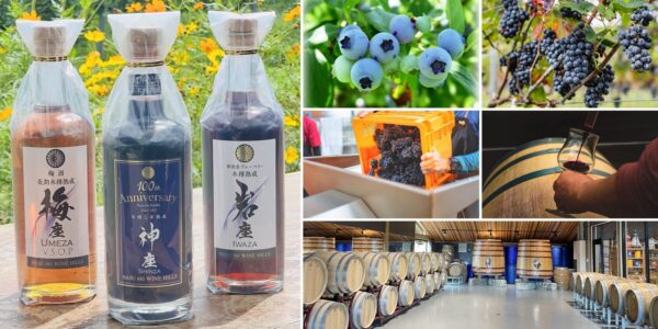Nasu 661 WINE HILLSのワインボトルとブルーベリー・ブドウ、醸造の様子