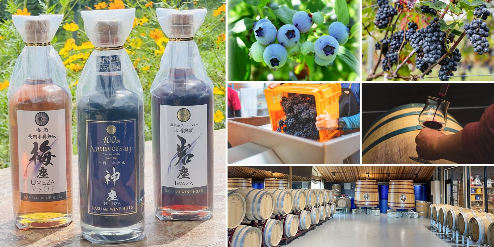 Nasu 661 WINE HILLSのワインボトルとブルーベリー・ブドウ、醸造の様子