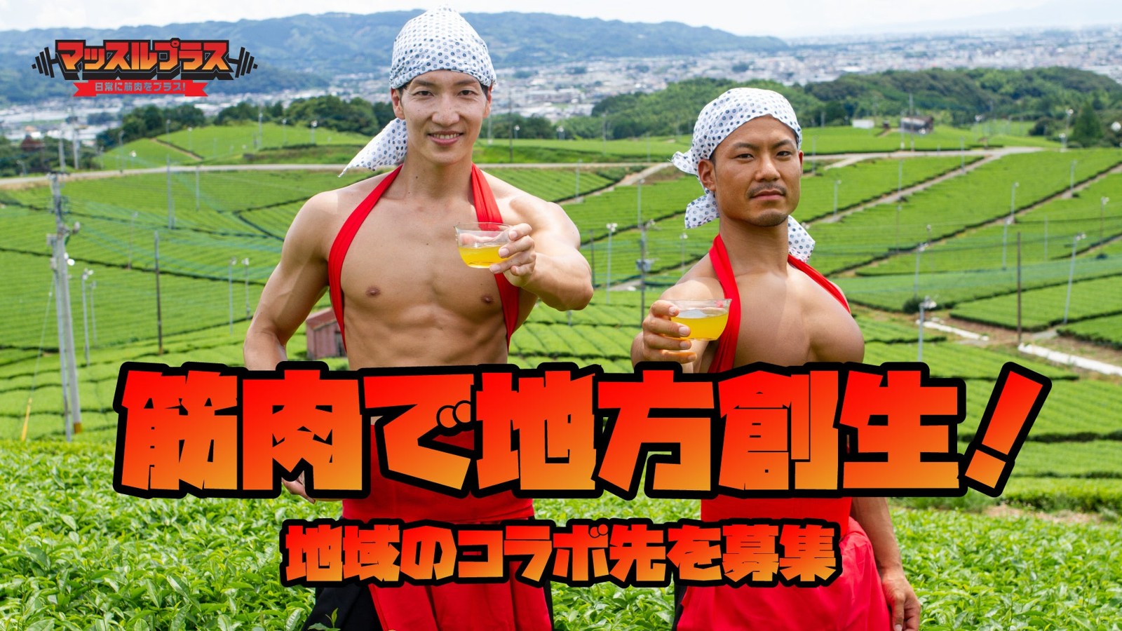 マッスルプラスのビジュアル