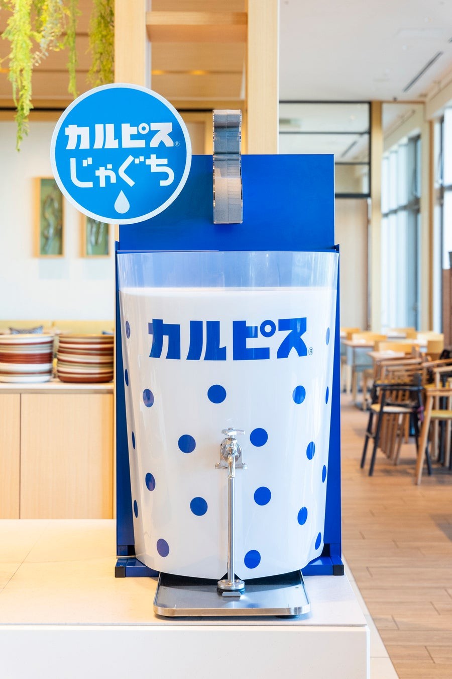 カルピスじゃぐち