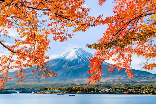河口湖の紅葉と富士山