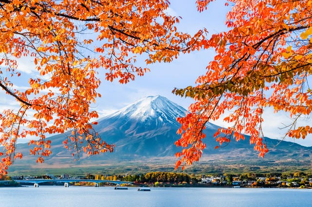 河口湖の紅葉と富士山