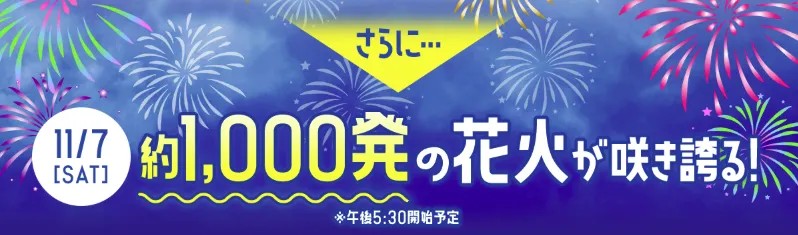 11月7日の花火