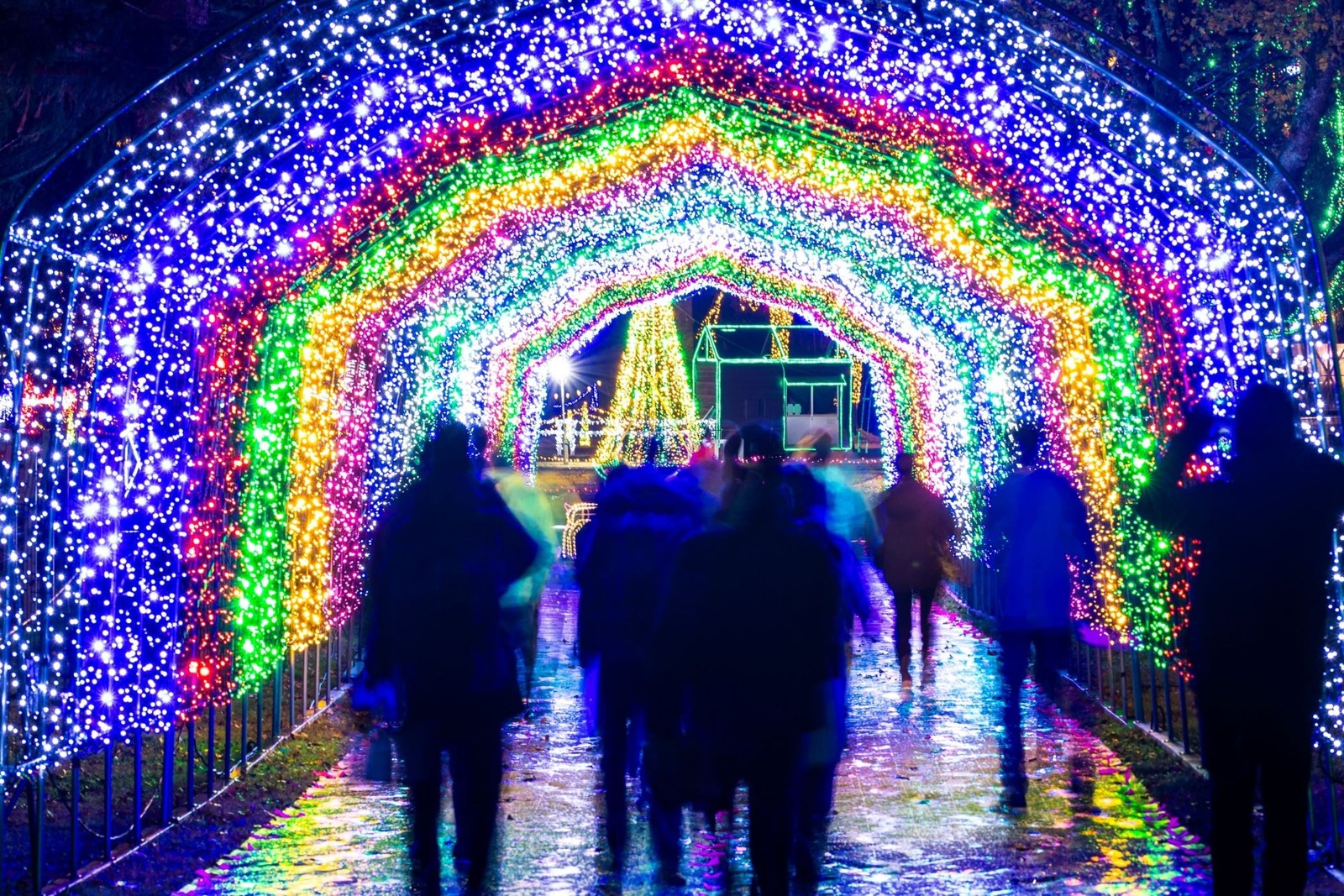 KOIWAI Winter Lights 銀河農場の夜の光のトンネル