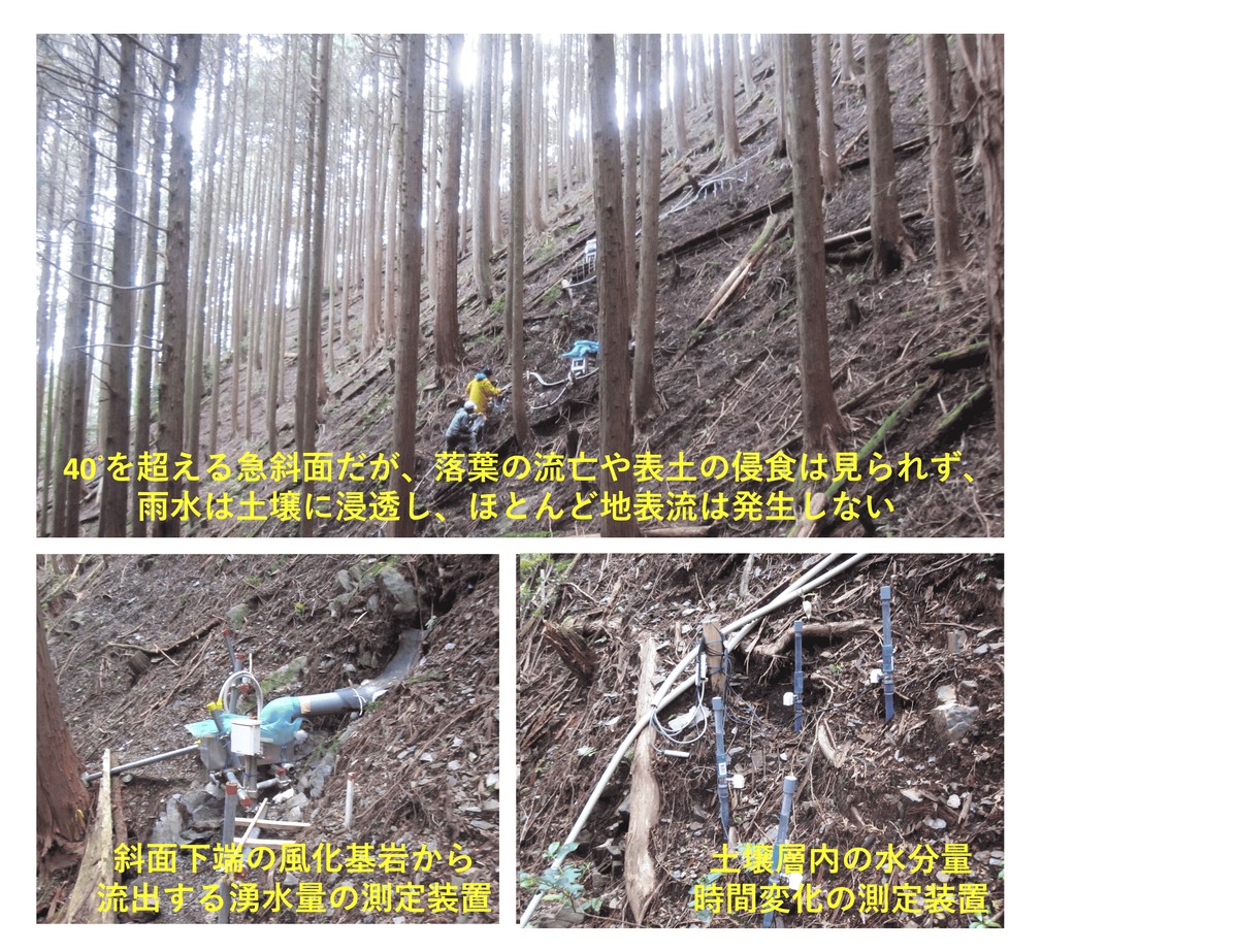 急斜面試験地における流出メカニズムの観測状況
