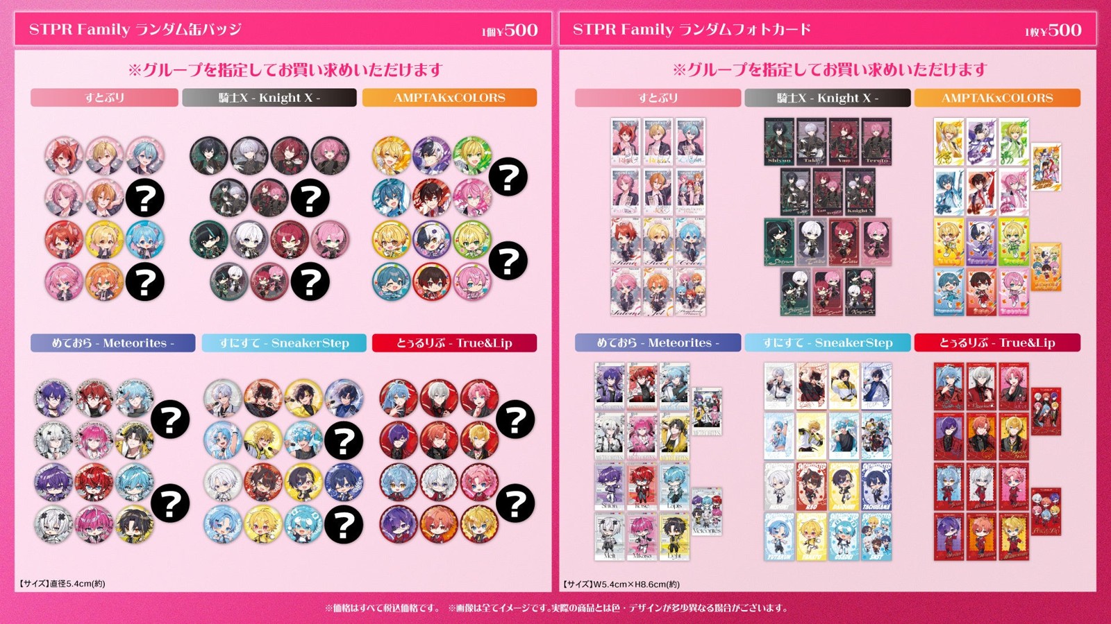 STPR Family ランダム缶バッジとランダムフォトカード