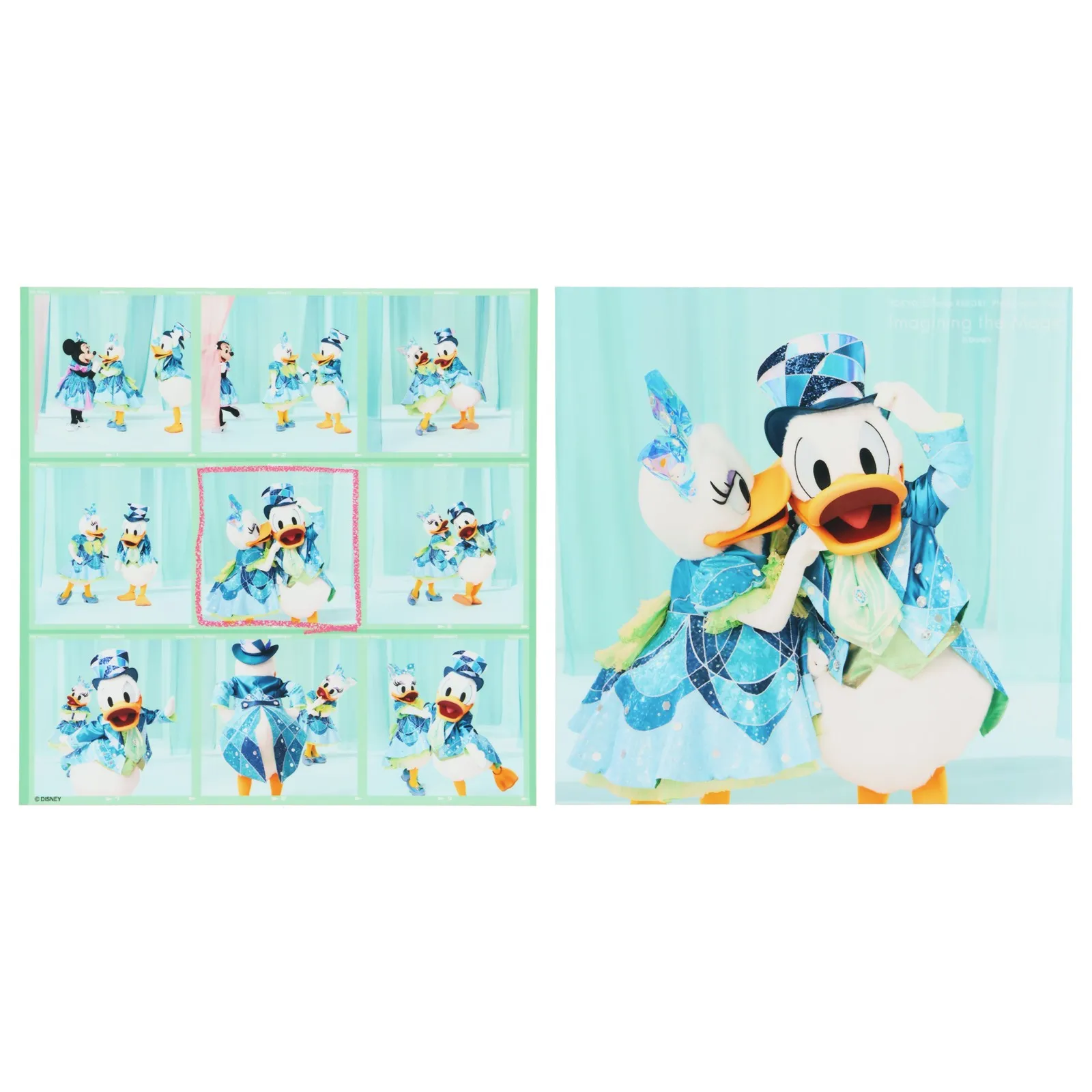 スクエア写真2枚セット ドナルドダック＆デイジーダック