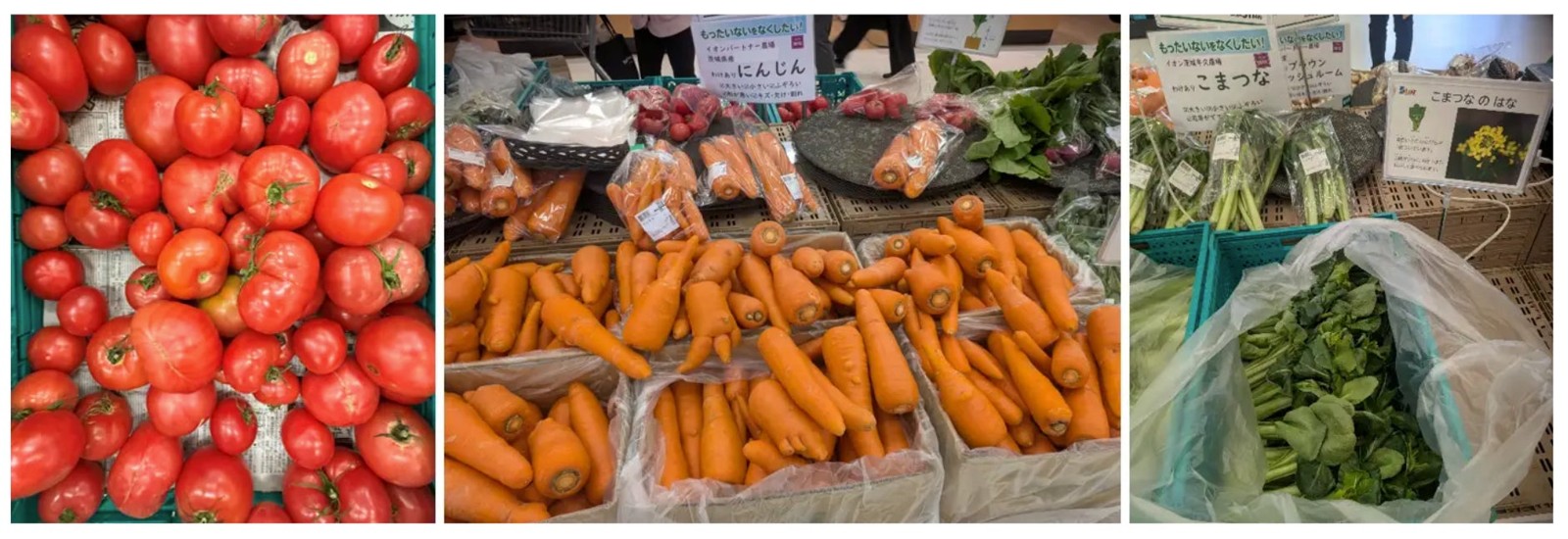 規格外野菜の売場