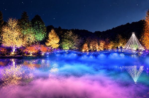 薬師雲海＆紅葉ライトアップ